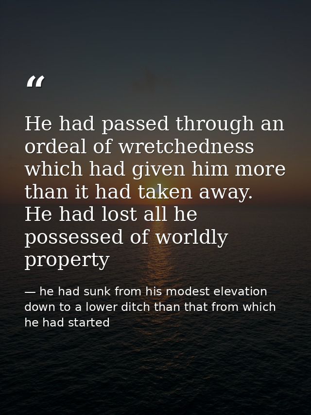 He had passed through an ordeal of wretchedness which had given him more than it had taken away. He had lost all he poss — he had sunk from his modest elevation down to a lower ditch than that from which he had started
