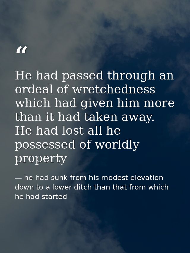 He had passed through an ordeal of wretchedness which had given him more than it had taken away. He had lost all he poss — he had sunk from his modest elevation down to a lower ditch than that from which he had started