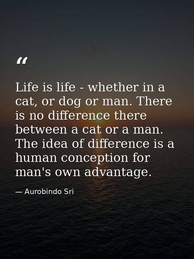 Life is life - whether in a cat, or dog or man. There is no difference there between a cat or a man. The idea of differe — Aurobindo Sri