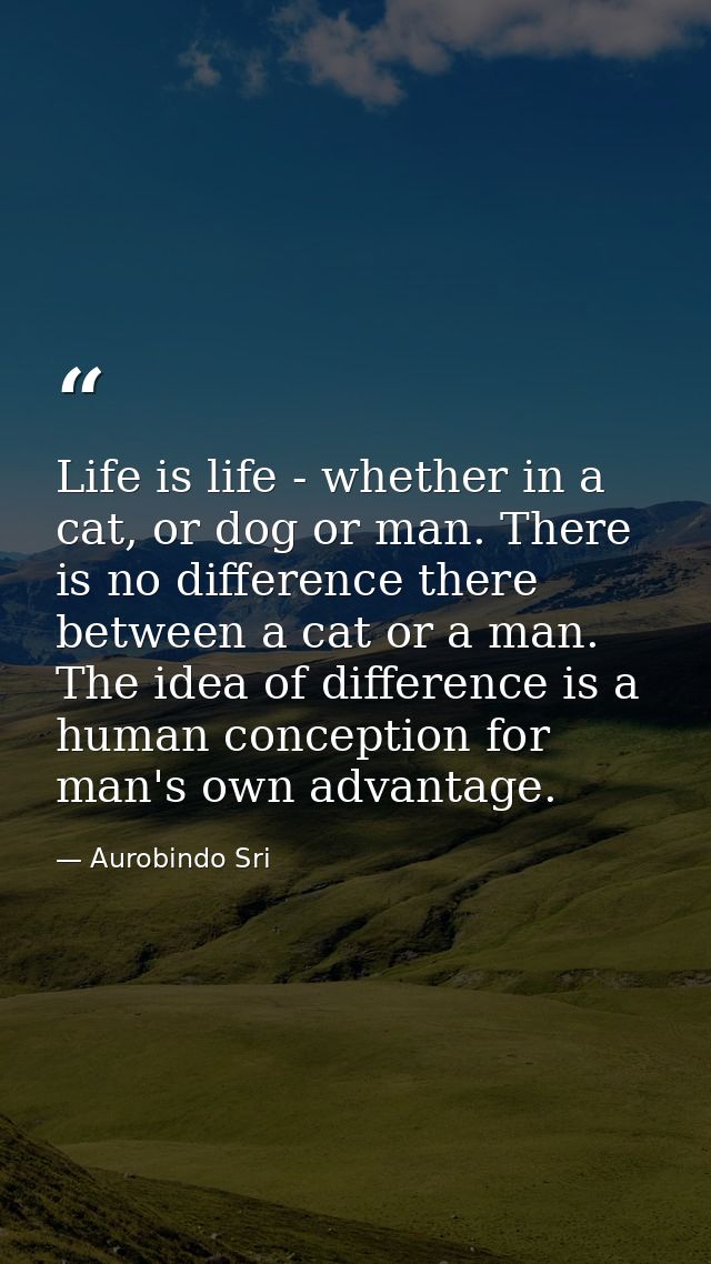 Life is life - whether in a cat, or dog or man. There is no difference there between a cat or a man. The idea of differe — Aurobindo Sri