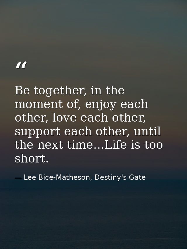 Be together, in the moment of, enjoy each other, love each other, support each other, until the next time...Life is too  — Lee Bice-Matheson, Destiny's Gate