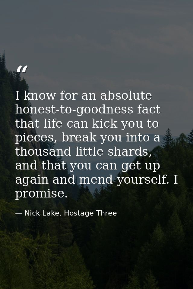I know for an absolute honest-to-goodness fact that life can kick you to pieces, break you into a thousand little shards — Nick Lake, Hostage Three