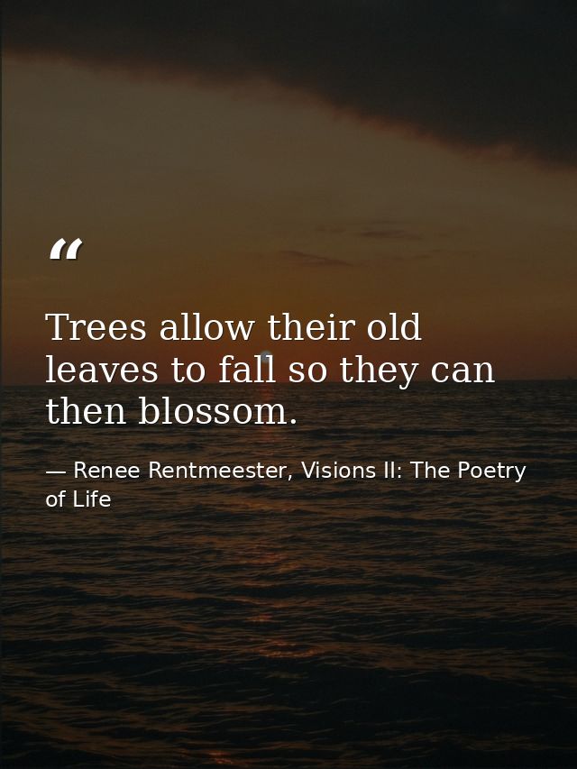 Trees allow their old leaves to fall so they can then blossom. — Renee Rentmeester, Visions II: The Poetry of Life