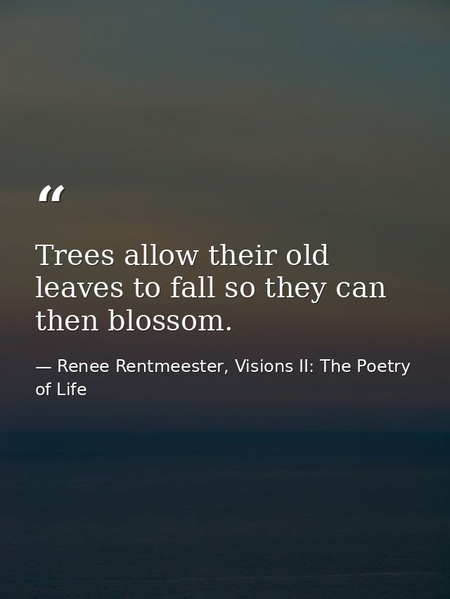 Trees allow their old leaves to fall so they can then blossom. — Renee Rentmeester, Visions II: The Poetry of Life