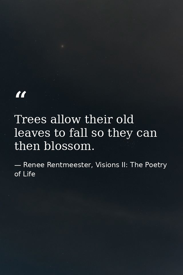 Trees allow their old leaves to fall so they can then blossom. — Renee Rentmeester, Visions II: The Poetry of Life