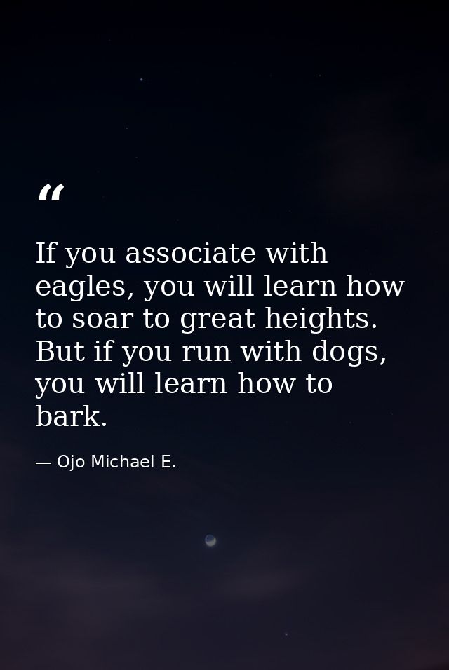 If you associate with eagles, you will learn how to soar to great heights. But if you run with dogs, you will learn how  — Ojo Michael E.