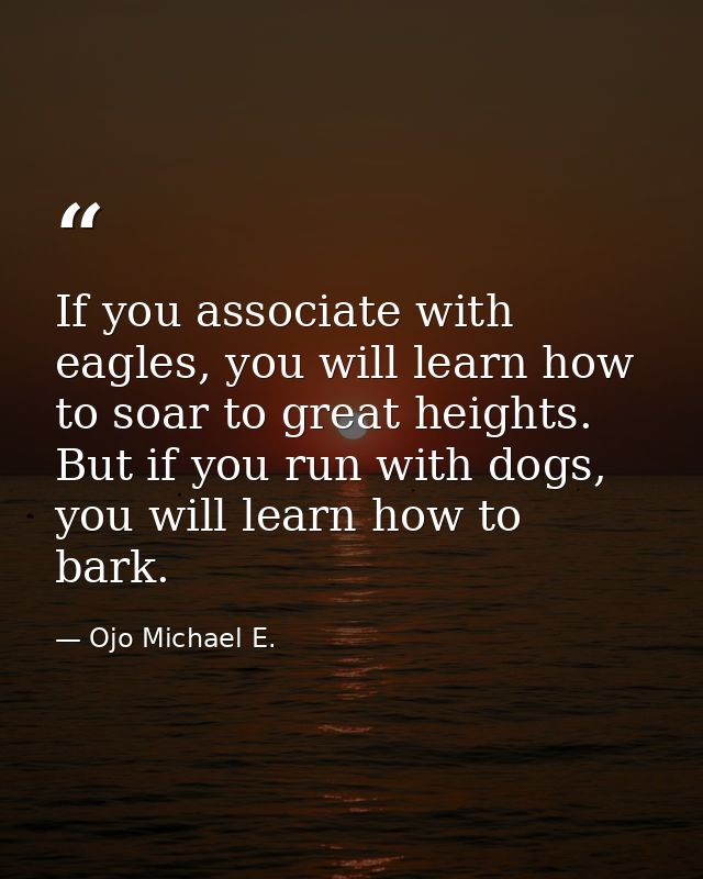 If you associate with eagles, you will learn how to soar to great heights. But if you run with dogs, you will learn how  — Ojo Michael E.