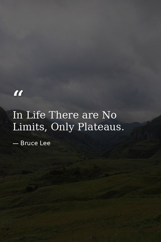 In Life There are No Limits, Only Plateaus. — Bruce Lee