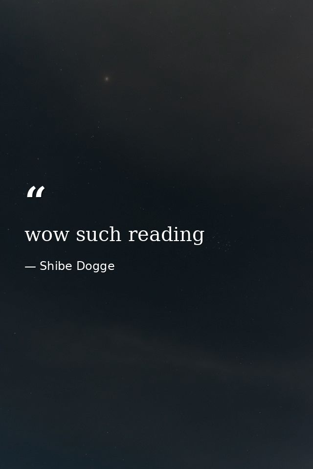 wow such reading — Shibe Dogge