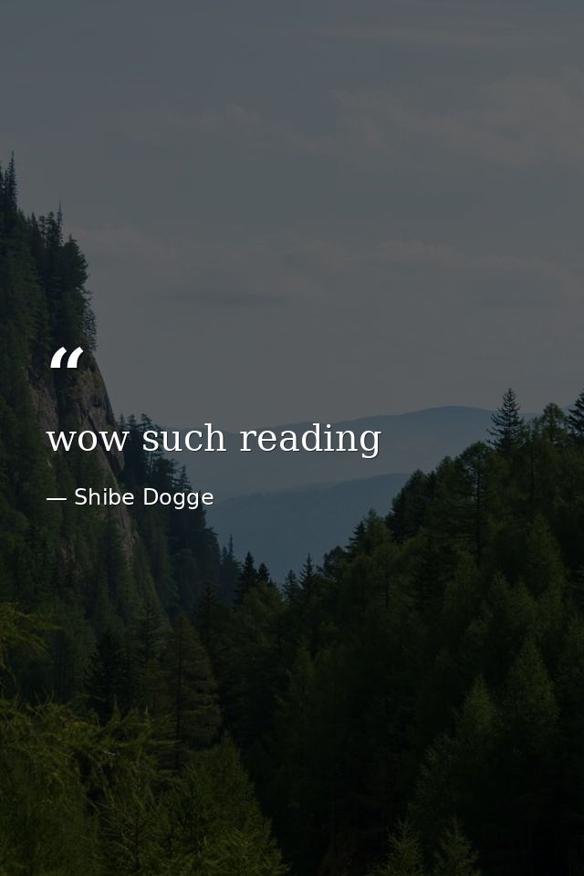 wow such reading — Shibe Dogge