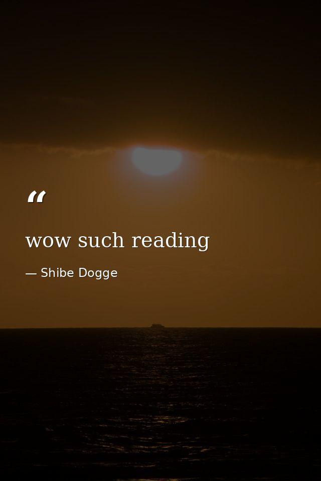 wow such reading — Shibe Dogge