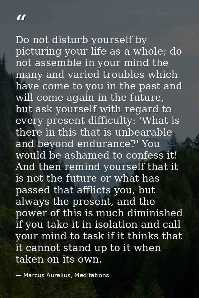Do not disturb yourself by picturing your life as a whole; do not assemble in your mind the many and varied troubles whi — Marcus Aurelius, Meditations