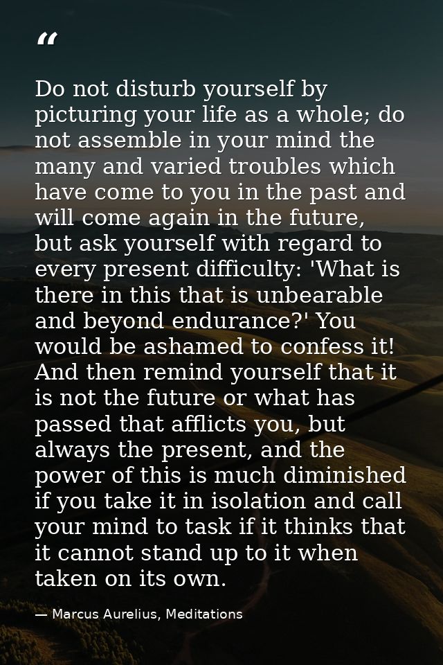 Do not disturb yourself by picturing your life as a whole; do not assemble in your mind the many and varied troubles whi — Marcus Aurelius, Meditations