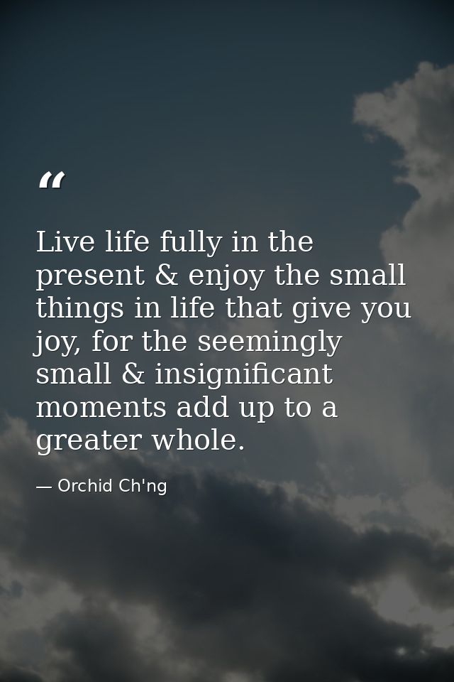 Live life fully in the present & enjoy the small things in life that give you joy, for the seemingly small & insignifica — Orchid Ch'ng