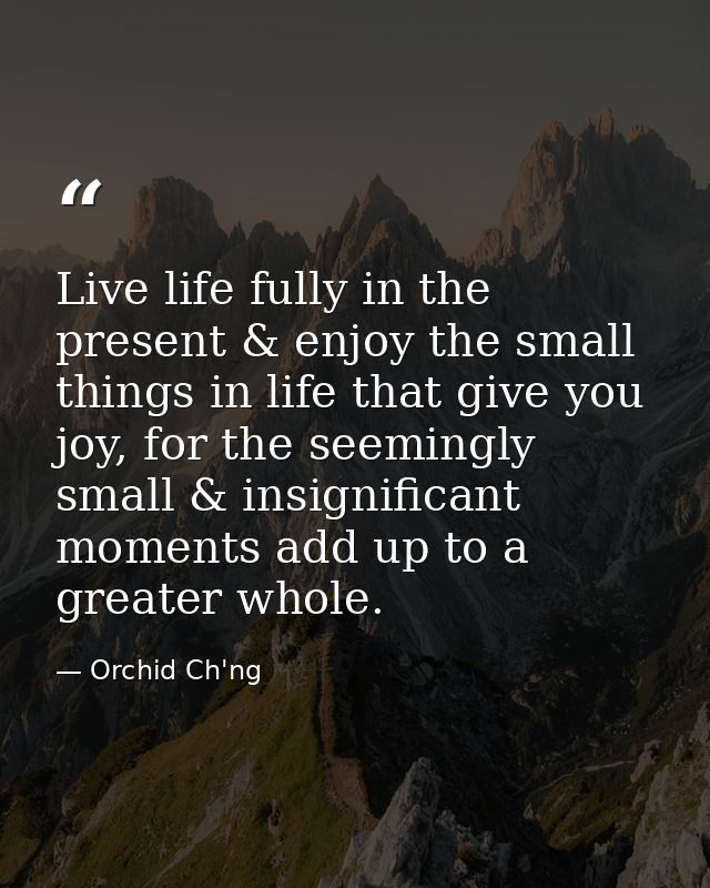 Live life fully in the present & enjoy the small things in life that give you joy, for the seemingly small & insignifica — Orchid Ch'ng
