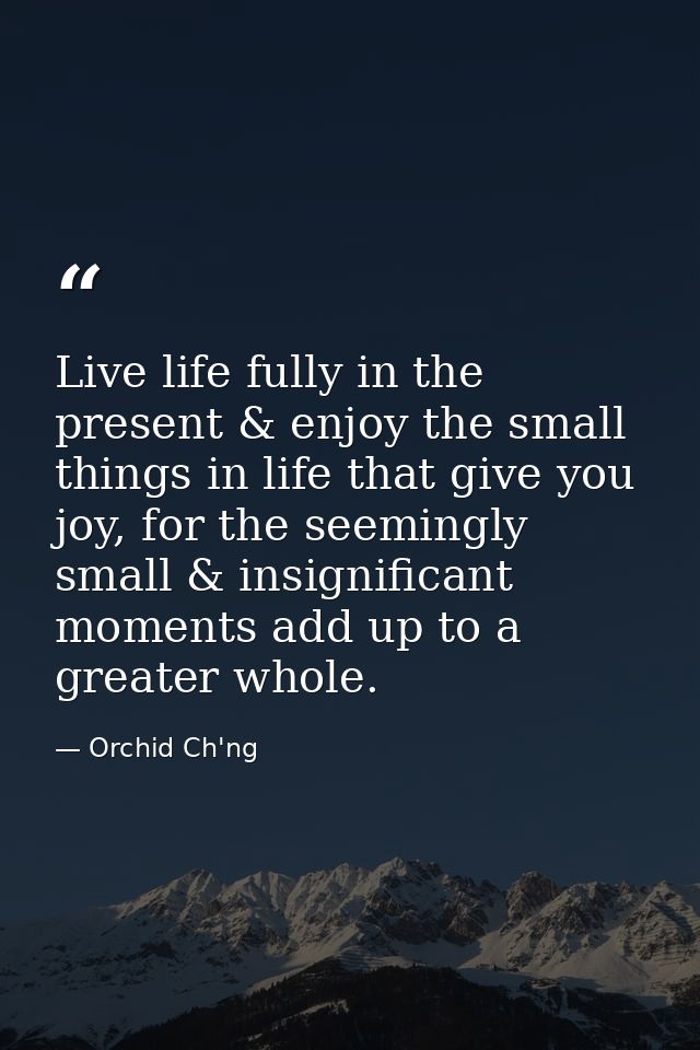 Live life fully in the present & enjoy the small things in life that give you joy, for the seemingly small & insignifica — Orchid Ch'ng
