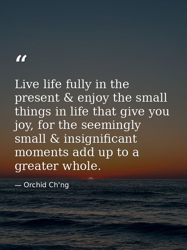 Live life fully in the present & enjoy the small things in life that give you joy, for the seemingly small & insignifica — Orchid Ch'ng