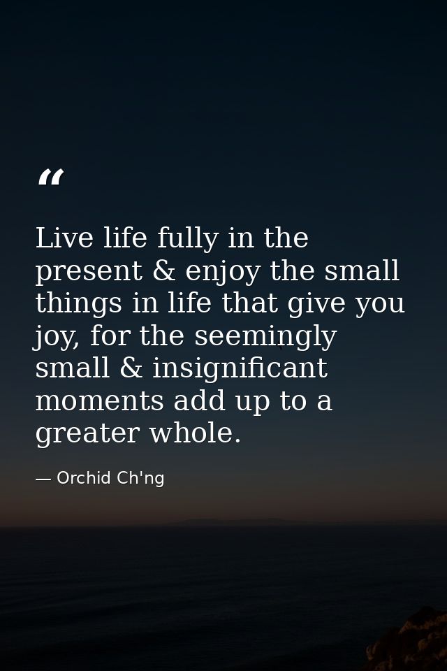 Live life fully in the present & enjoy the small things in life that give you joy, for the seemingly small & insignifica — Orchid Ch'ng