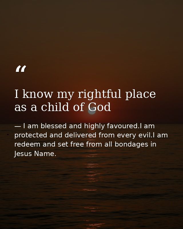I know my rightful place as a child of God — I am blessed and highly favoured.I am protected and delivered from every evil.I am redeem and set free from all bondages in Jesus Name.