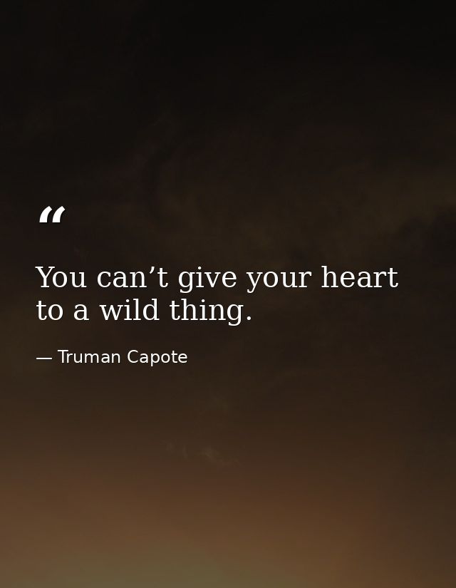 You can’t give your heart to a wild thing. — Truman Capote