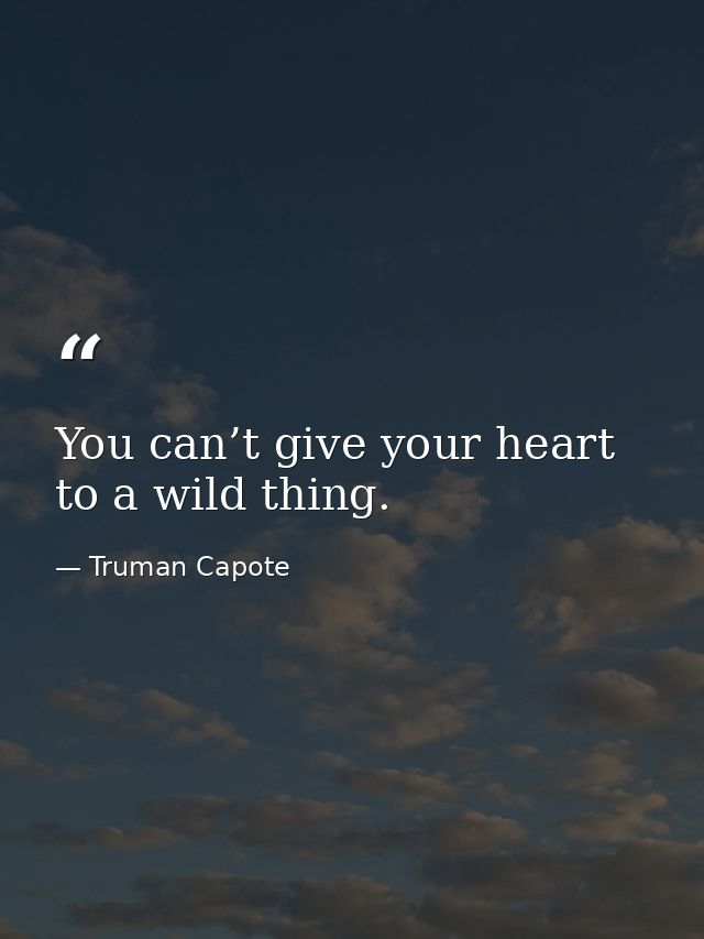 You can’t give your heart to a wild thing. — Truman Capote