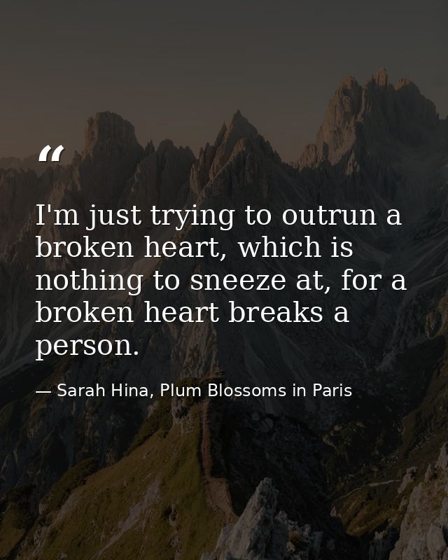 I'm just trying to outrun a broken heart, which is nothing to sneeze at, for a broken heart breaks a person. — Sarah Hina, Plum Blossoms in Paris