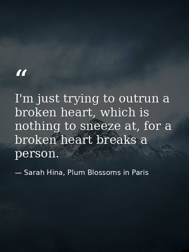 I'm just trying to outrun a broken heart, which is nothing to sneeze at, for a broken heart breaks a person. — Sarah Hina, Plum Blossoms in Paris
