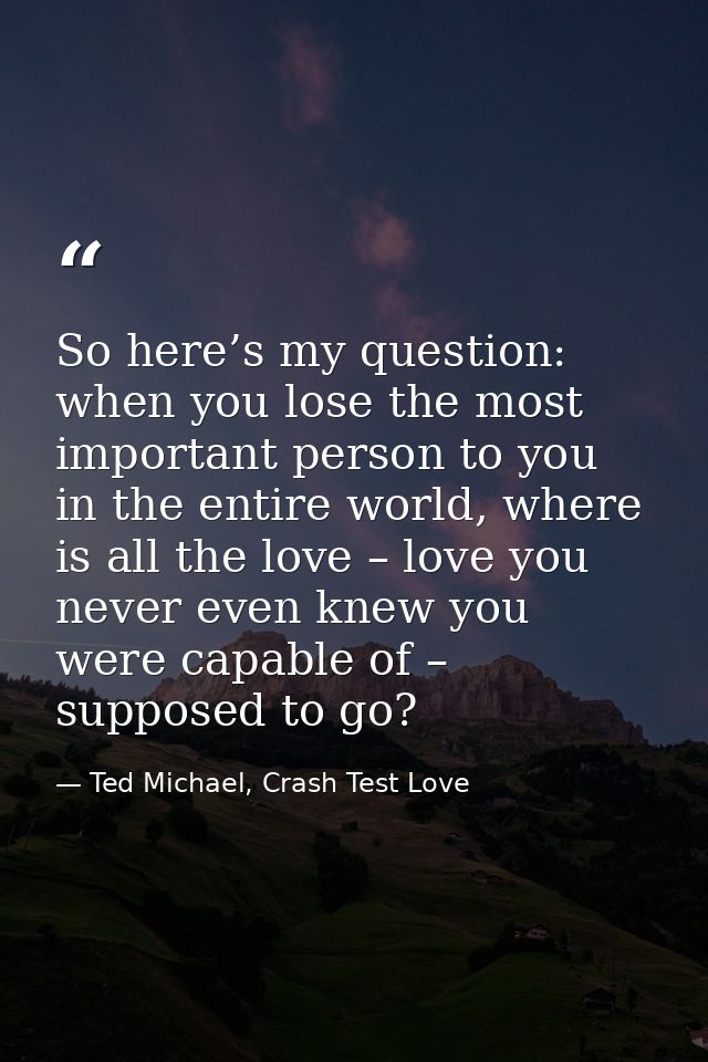 So here’s my question: when you lose the most important person to you in the entire world, where is all the love – love  — Ted Michael, Crash Test Love