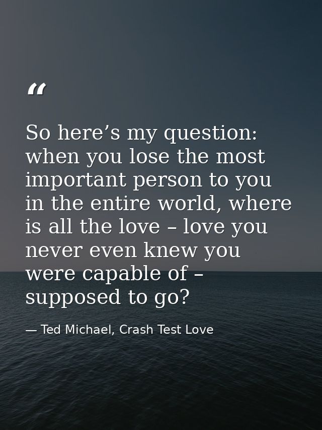 So here’s my question: when you lose the most important person to you in the entire world, where is all the love – love  — Ted Michael, Crash Test Love