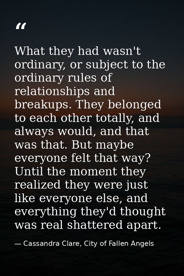 What they had wasn't ordinary, or subject to the ordinary rules of relationships and breakups. They belonged to each oth — Cassandra Clare, City of Fallen Angels