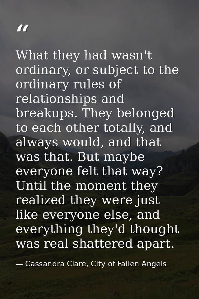 What they had wasn't ordinary, or subject to the ordinary rules of relationships and breakups. They belonged to each oth — Cassandra Clare, City of Fallen Angels