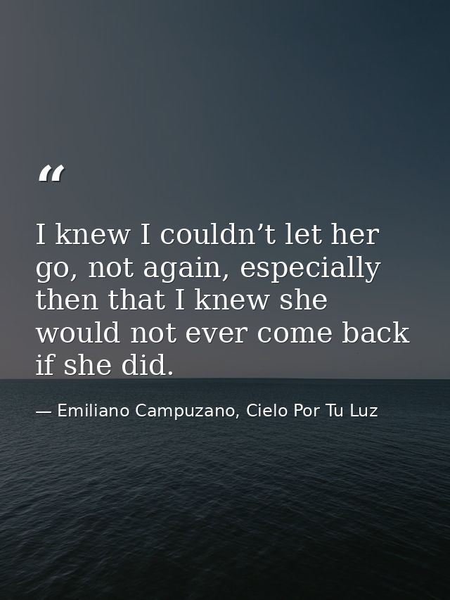 I knew I couldn’t let her go, not again, especially then that I knew she would not ever come back if she did. — Emiliano Campuzano, Cielo Por Tu Luz