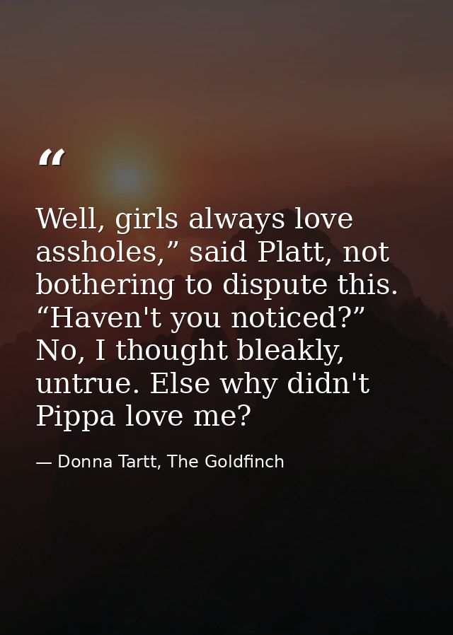Well, girls always love assholes,” said Platt, not bothering to dispute this. “Haven't you noticed?” No, I thought bleak — Donna Tartt, The Goldfinch