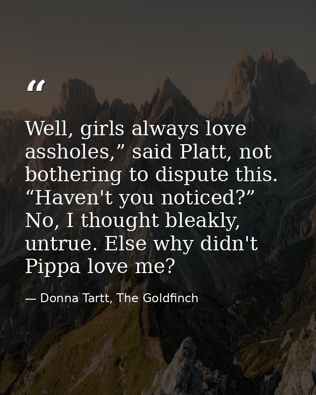 Well, girls always love assholes,” said Platt, not bothering to dispute this. “Haven't you noticed?” No, I thought bleak — Donna Tartt, The Goldfinch