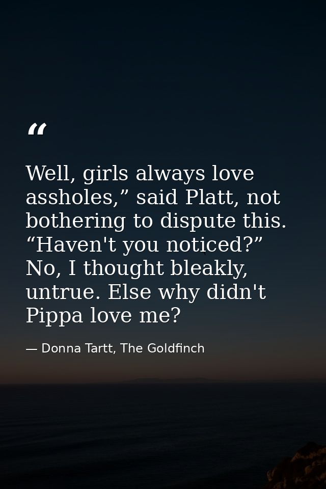 Well, girls always love assholes,” said Platt, not bothering to dispute this. “Haven't you noticed?” No, I thought bleak — Donna Tartt, The Goldfinch