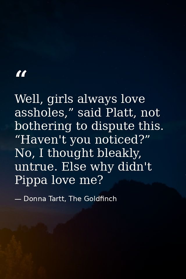Well, girls always love assholes,” said Platt, not bothering to dispute this. “Haven't you noticed?” No, I thought bleak — Donna Tartt, The Goldfinch