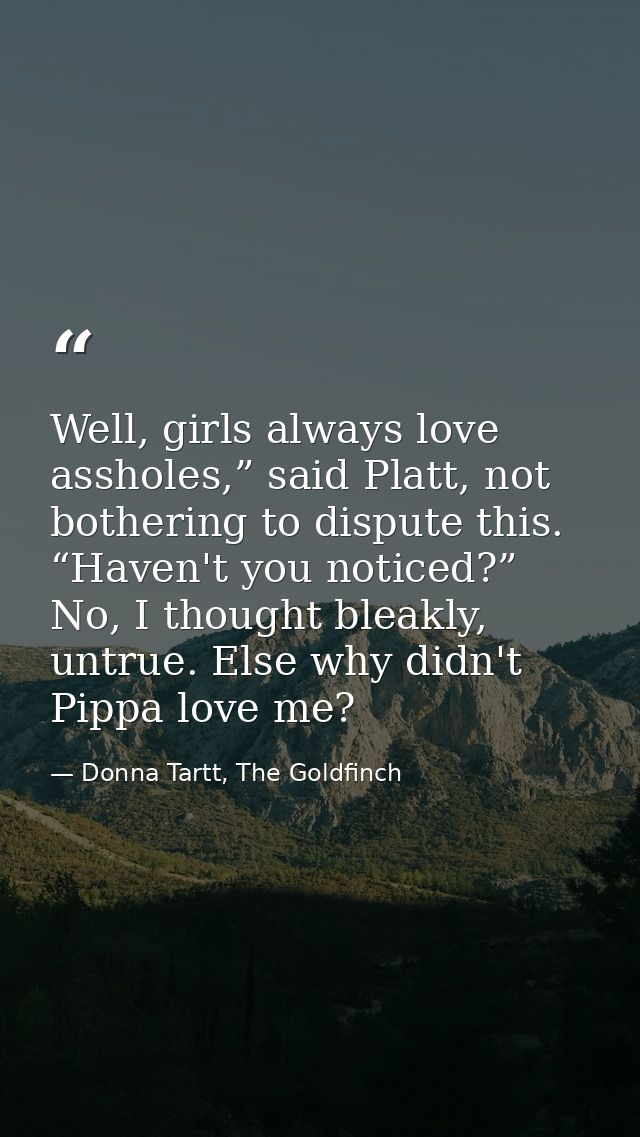 Well, girls always love assholes,” said Platt, not bothering to dispute this. “Haven't you noticed?” No, I thought bleak — Donna Tartt, The Goldfinch