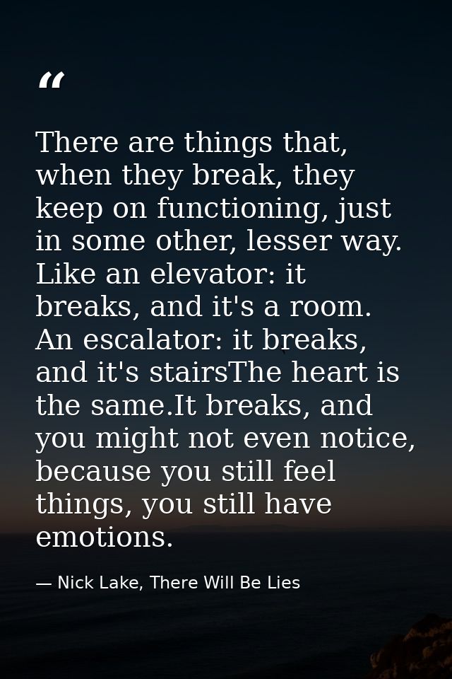 There are things that, when they break, they keep on functioning, just in some other, lesser way. Like an elevator: it b — Nick Lake, There Will Be Lies