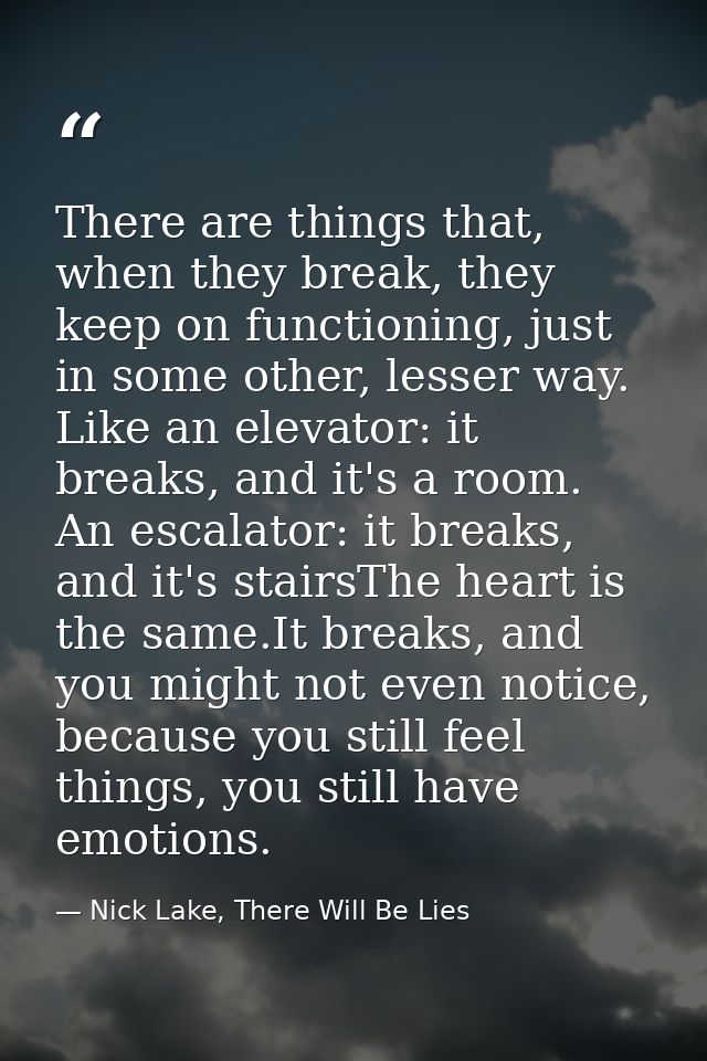 There are things that, when they break, they keep on functioning, just in some other, lesser way. Like an elevator: it b — Nick Lake, There Will Be Lies