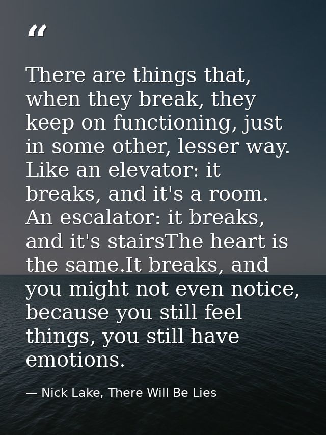 There are things that, when they break, they keep on functioning, just in some other, lesser way. Like an elevator: it b — Nick Lake, There Will Be Lies