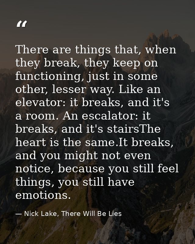 There are things that, when they break, they keep on functioning, just in some other, lesser way. Like an elevator: it b — Nick Lake, There Will Be Lies