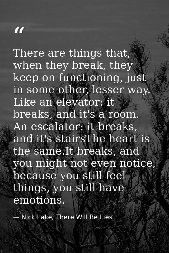 There are things that, when they break, they keep on functioning, just in some other, lesser way. Like an elevator: it b — Nick Lake, There Will Be Lies