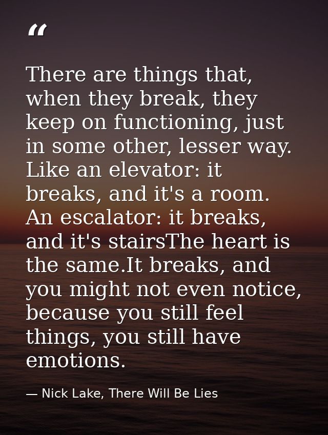There are things that, when they break, they keep on functioning, just in some other, lesser way. Like an elevator: it b — Nick Lake, There Will Be Lies