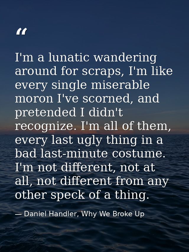 I'm a lunatic wandering around for scraps, I'm like every single miserable moron I've scorned, and pretended I didn't re — Daniel Handler, Why We Broke Up