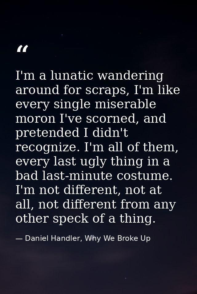 I'm a lunatic wandering around for scraps, I'm like every single miserable moron I've scorned, and pretended I didn't re — Daniel Handler, Why We Broke Up