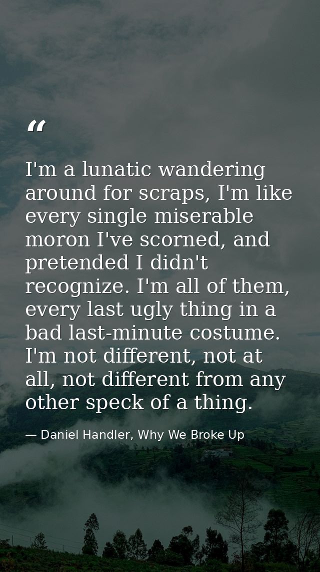 I'm a lunatic wandering around for scraps, I'm like every single miserable moron I've scorned, and pretended I didn't re — Daniel Handler, Why We Broke Up