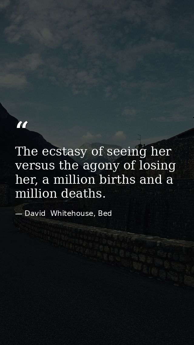 The ecstasy of seeing her versus the agony of losing her, a million births and a million deaths. — David  Whitehouse, Bed