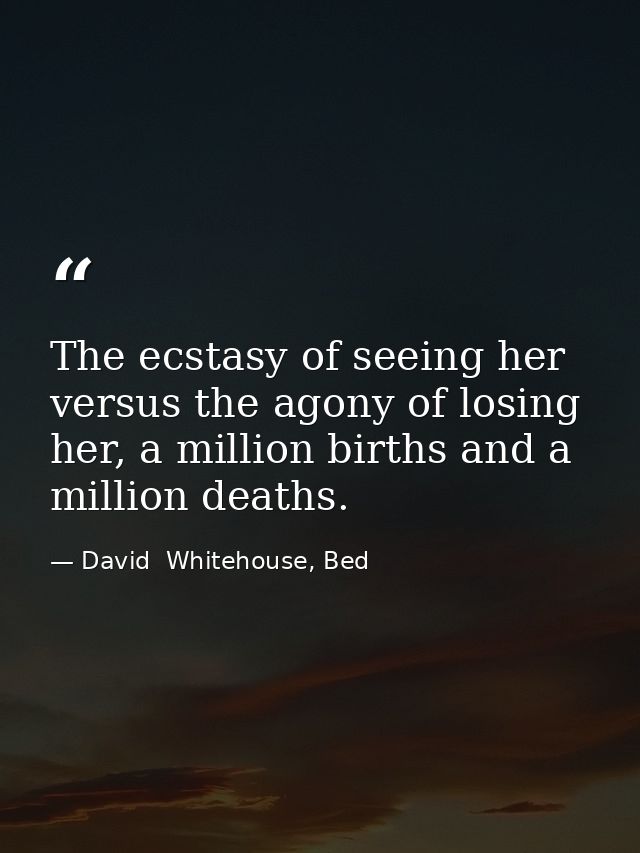 The ecstasy of seeing her versus the agony of losing her, a million births and a million deaths. — David  Whitehouse, Bed