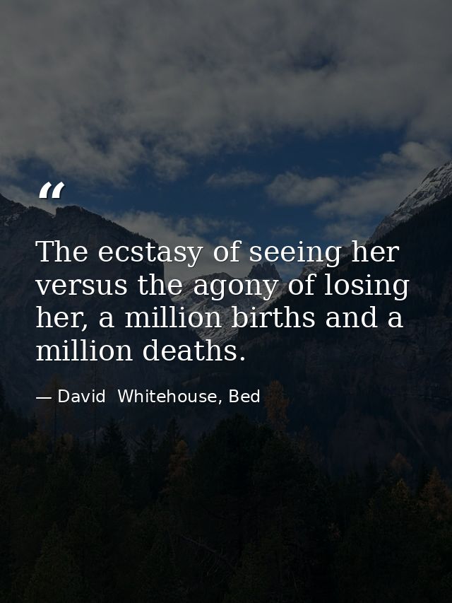 The ecstasy of seeing her versus the agony of losing her, a million births and a million deaths. — David  Whitehouse, Bed