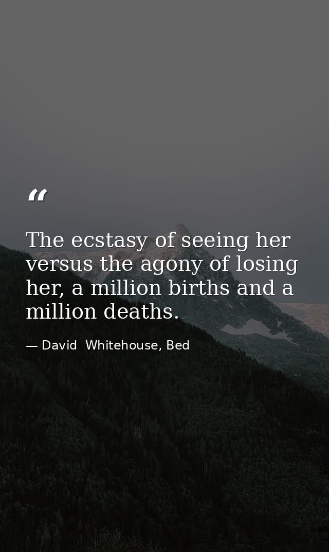 The ecstasy of seeing her versus the agony of losing her, a million births and a million deaths. — David  Whitehouse, Bed